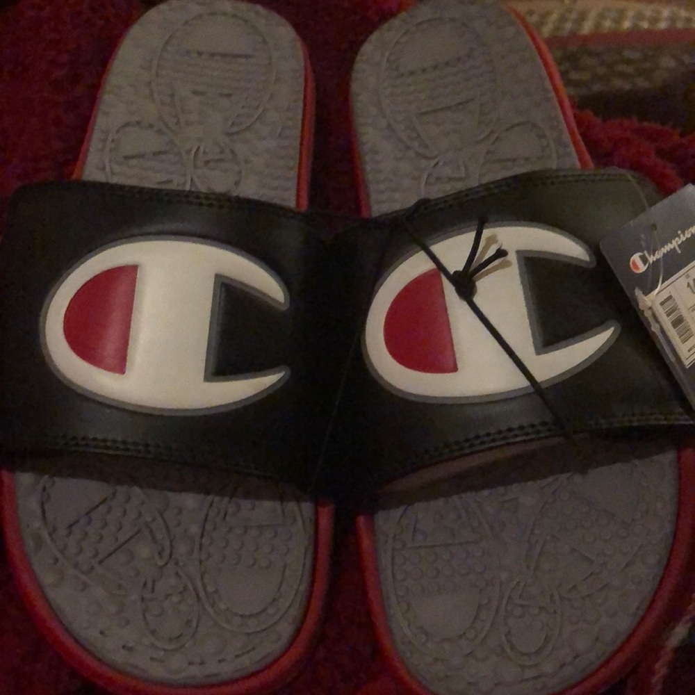 Brand new champion slides